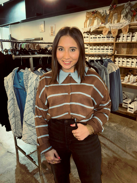 Collared Brown Sweater