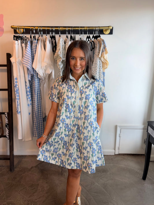 Floral & Stripe Swing Mini Dress